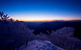Картинка небо, деревья, горы, закат, месяц, снег