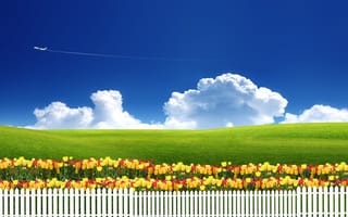 Обои природа, облака, забор, трава, самолет, небо, тюльпаны, луг, цветы