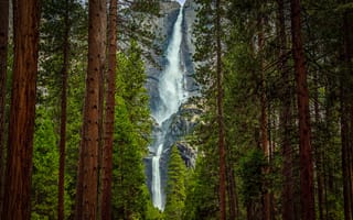 Картинка водопад, горы, деревья, лес, скала