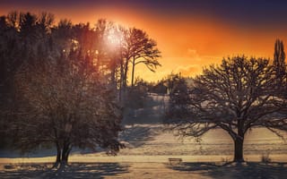 Картинка солнце, обработка, дома, зима, деревья