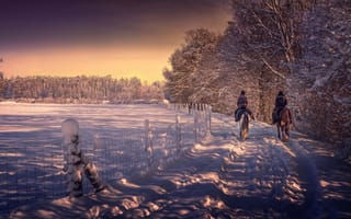 Картинка обработка, снег, конная прогулка, зима