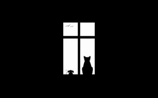 Картинка Friendship, мышь, окно, друзья, кот, птицы, минимализм