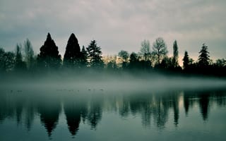 Картинка раннее утро, туман, дымка, небо, рассвет, природа, река, деревья