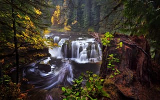 Обои осень, Lower Lewis River Falls, Вашингтон, США, штат, лес, река Льюис