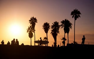 Картинка los angeles, usa, california, palm, summer, sunset, surf, vence beach