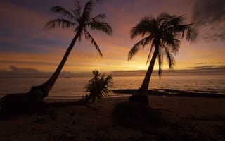 Картинка sunset, philippines, beach, wave, ocean, summer, palm