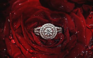 Картинка бриллианты, роза, лепестки, кольцо