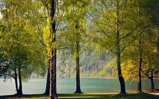 Картинка Швейцария, березы, деревья, весна, природа, Switzerland, озеро
