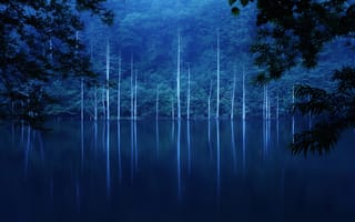Обои озеро, ночь, деревья, склон, лес, туман