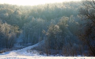 Картинка дорога, лес, мороз, Зима, утро, снег, ветви, деревья