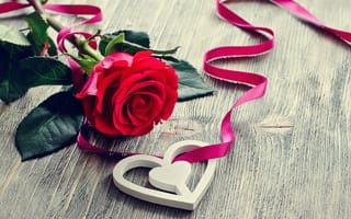 Картинка любовь, лепестки, розы, цветы, valentine's day
