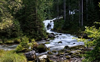 Картинка Австрия, хвойные, ручей, лес, пороги, камни, Hallstatt, поток, деревья, Хальштатт, мох