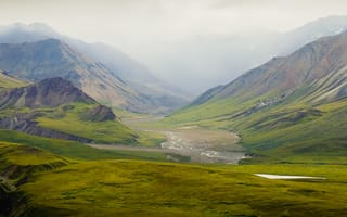 Картинка USA, Alaska, United States, Denali Park, Green Hills of Home, United States of America