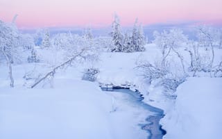 Картинка деревья, зима, ручей, снег