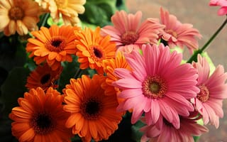 Картинка цветы, оранжевый, желтый, yellow, orange, bright, pink, flowers, beautiful, букет, bouquet, розовый, красивые, яркие