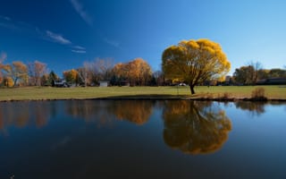 Обои осень, небо, река, дерево, отражение