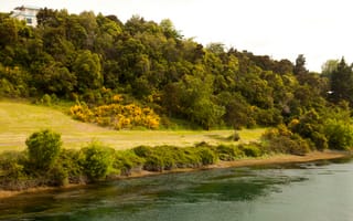 Картинка Новая Зеландия, Waikato River, берег, река, склон, дорога