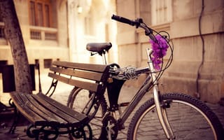 Обои цветы, улица, город, цепь, велосипед, скамейка