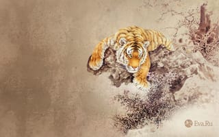 Картинка тигр, рисунок, животные