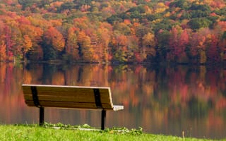 Картинка Осень, река, отражение, пейзаж, листья, разноцветные, лавочка, безмятежность, скамья, день, деревья, скамейка
