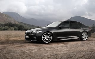 Картинка F10, BMW, 5 Series
