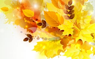 Картинка природа, осень, листья, коллаж