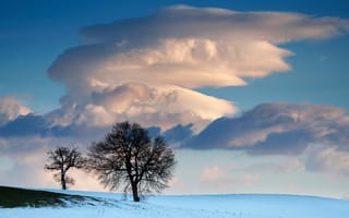 Картинка небо, облака, деревья, снег, поле, зима