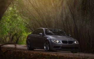 Картинка car, BMW, E92, Sedan, бмв, forest