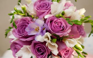 Обои Violet Flowers, букет, roses, цветы, Bouquet, фиолетовый, розы