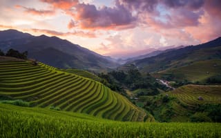 Картинка поля, рисовые, Вьетнам, Mù Cang Chải District, Азия, холмы