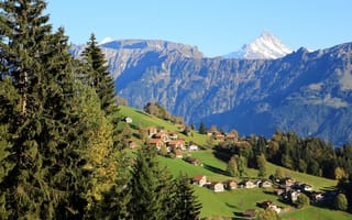 Обои Швейцария, деревья, поля, горы, дома, Beatenberg, склон