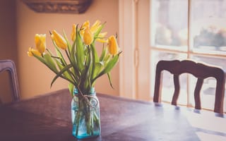 Обои цветы, стол, тюльпаны, желтые