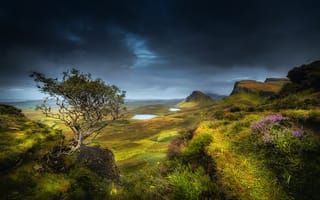 Картинка лето, скалы, трава, дерево, горы, остров Скай, область Хайленд, озёра, цветы, Август, облака, долина, Шотландия, тучи, холмы