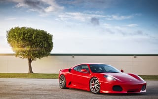 Обои Ferrari, red, блик, красный, облака, дерево, феррара, F430, солнце, небо