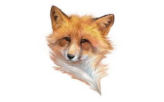 Картинка морда, минимализм, fox, белый, лиса