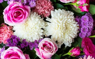 Картинка розы, rose, flowers, георгины, гвоздики, хризантемы