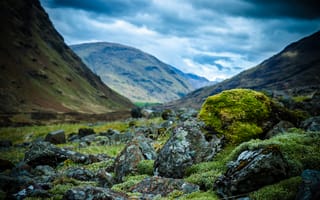 Картинка Scotland, горы, камни, мох, Шотландия