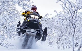 Картинка Снег, Прыжок, Ski-Doo, Snowmobile, Снегоход, Кусты