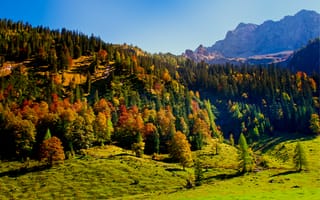 Картинка Австрия, осень, деревья, природа, небо, горы, Тироль, холмы, Карвендель