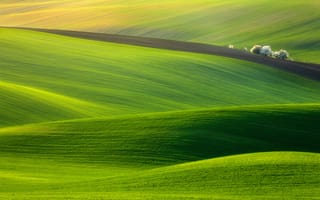 Картинка Пейзаж, луг, поле, природа, трава, зеленый