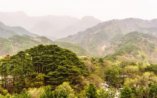 Картинка дымка, зелень, горы, природа, деревья, North Korea, лес