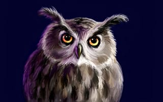 Картинка темный, сова, owl, птица