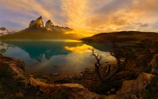Картинка национальный парк Торрес-дель-Пайне, утро, горы Анды, Чили, Южная Америка, Патагония