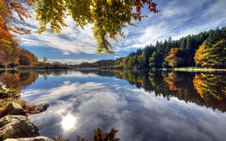 Обои Deininger Weiher, отражение, камни, берег, листья, озеро, вода, деревья, Германия, ветки, осень