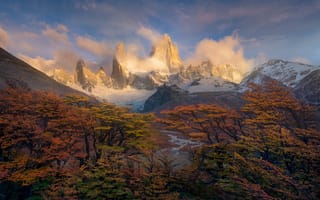 Картинка утро, Южная Америка, краски, пики, деревья, горы, Патагония, осень, Анды