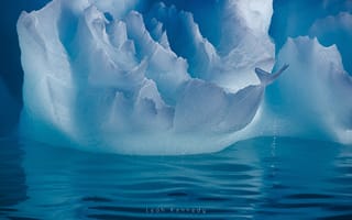 Картинка айсберг, лёд, вода, Антарктика