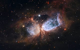 Картинка Hubble, constellation Cygnus, NASA, творение, star, созвездие, region S 106, gas cloud, Hubble Space Telescope, формирование звезды, молодые звёзды, Лебедь, снимки, ESA, космос, Космический Телескоп Хаббла, НАСА, газопылевое облако, newly-formed star, The Swan, Sh 2-106, dust, сектор C 106, Хаббл, S106 IR, star-forming region, view