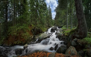 Картинка Болгария, Skakavica Waterfall, водопад, лес, Национальный парк Рила, Bulgaria, Rila National Park