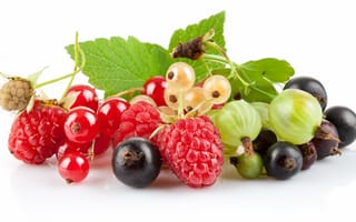 Обои ягоды, белая смородина, малина, крыжовник, чёрная смородина, красная смородина