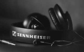 Картинка sennheiser, черно белое, наушники, HD 205, Hi-Tech